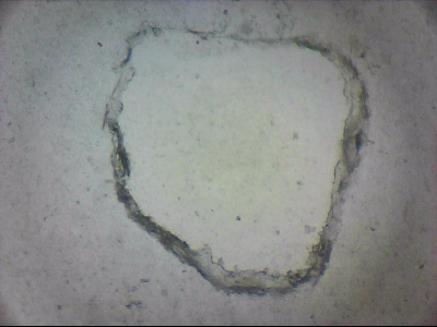 tdIIIa2_q1mm0002.jpg