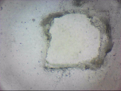 tdIIIa2_q1mm0046.jpg