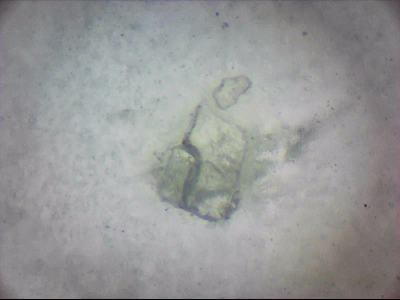 bgIIIfgfolott_q1mm0025.jpg