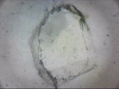 tdIIIa2_q1mm0039.jpg