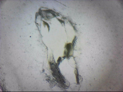 tdIIIa2_q1mm0012.jpg