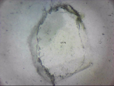 tdIIIa2_q1mm0039_v.jpg