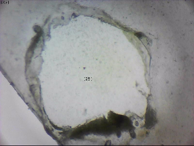 tdIIIa2_q1mm0025_v.jpg