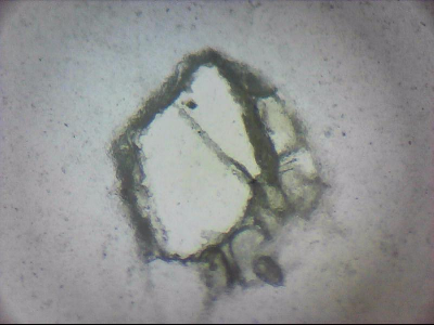 tdIIIa2_q1mm0001.jpg