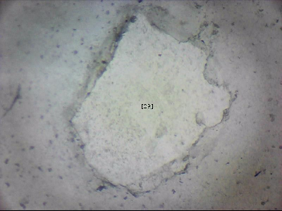 tdIIIa2_q1mm0029_v.jpg
