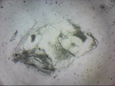 tdIIIa2_q1mm0054.jpg