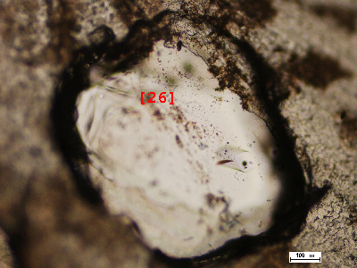 NZ_KH1_Qvil_26_v.jpg