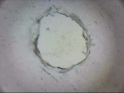 tdIIIa2_q1mm0032_v.jpg