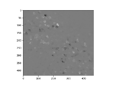 G0164-R0-T0-S1-F0_first-pc-difference.png