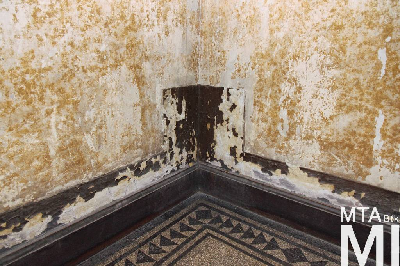 IMG_7036_Alkotmány u. 20_lépcsőház.jpg