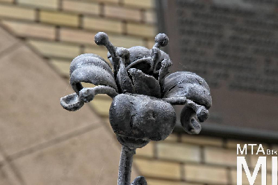 IMG_8921_Alkotmány u. 12_templom_kapurács.jpg