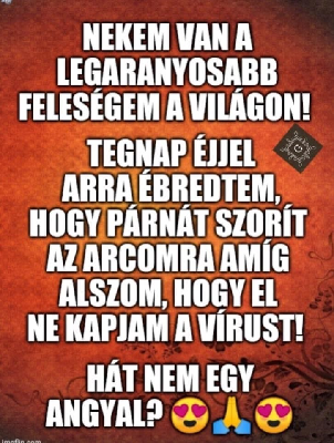 309.jpg