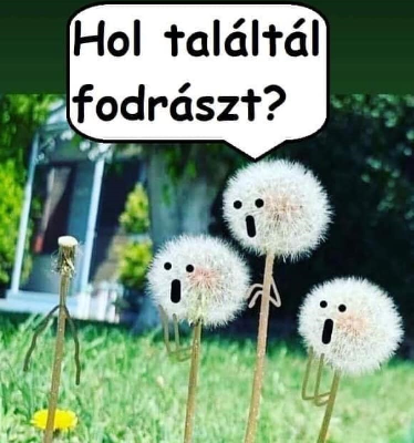 100.jpg