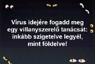 342.jpg