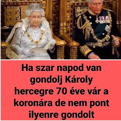 221.jpg