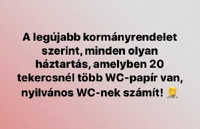195.jpg