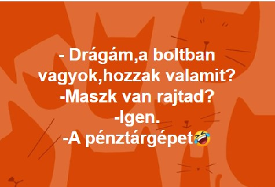 238.jpg