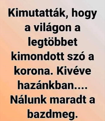 314.jpg