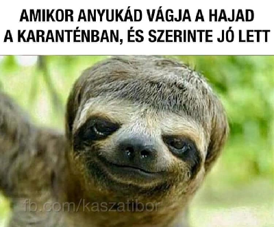 097.jpg