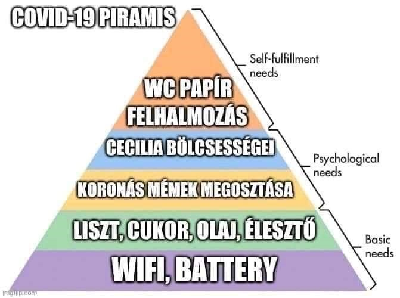 184.jpg