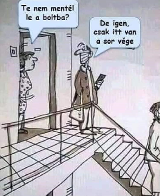237.jpg