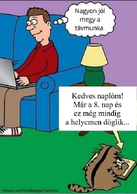 116.jpg