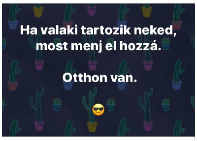 276.jpg