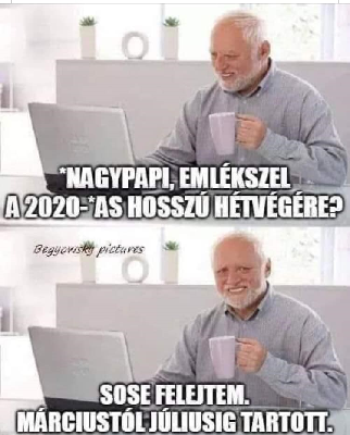 164.jpg