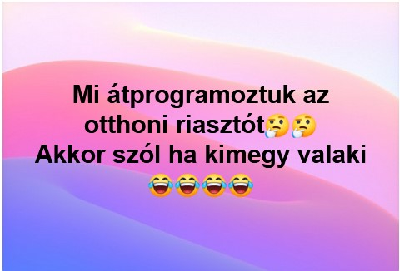 228.jpg