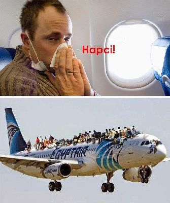 102.jpg
