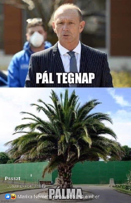 209.jpg