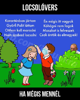071.jpg