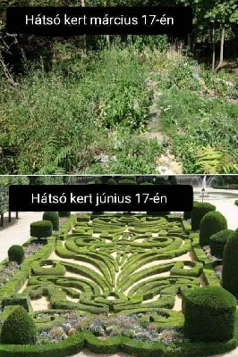 017.jpg