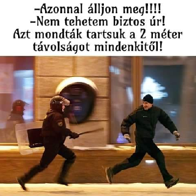 293.jpg