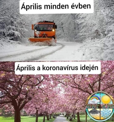 015.jpg
