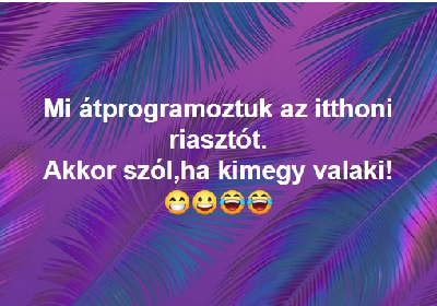 260.jpg