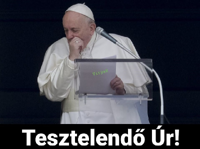 343.jpg