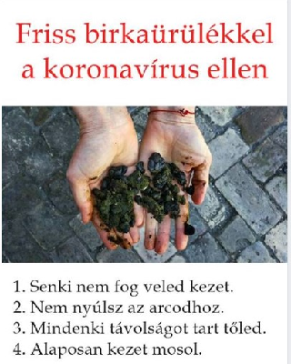 233.jpg