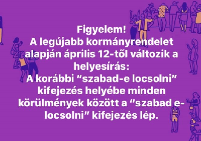 323.jpg