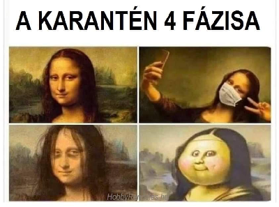 224.jpg