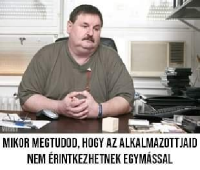 219.jpg