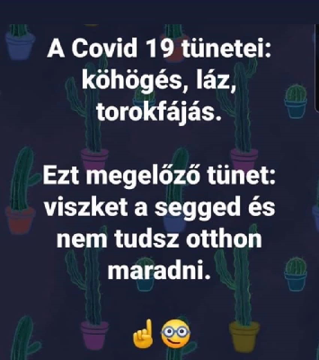 266.jpg