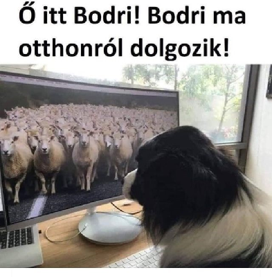 114.jpg