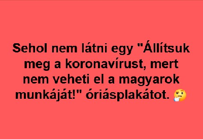 263.jpg