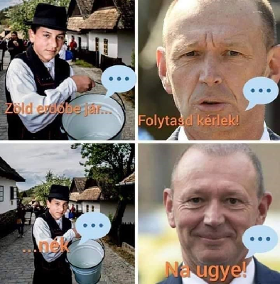 319.jpg
