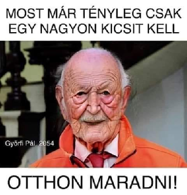 251.jpg