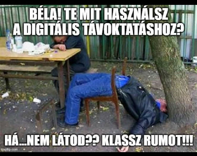126.jpg