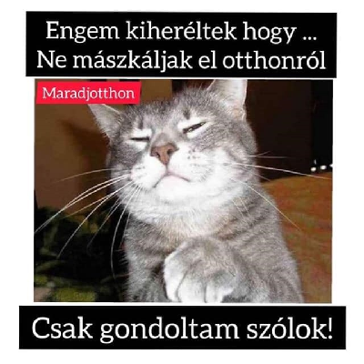 257.jpg