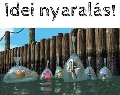 265.jpg