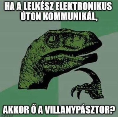 298.jpg
